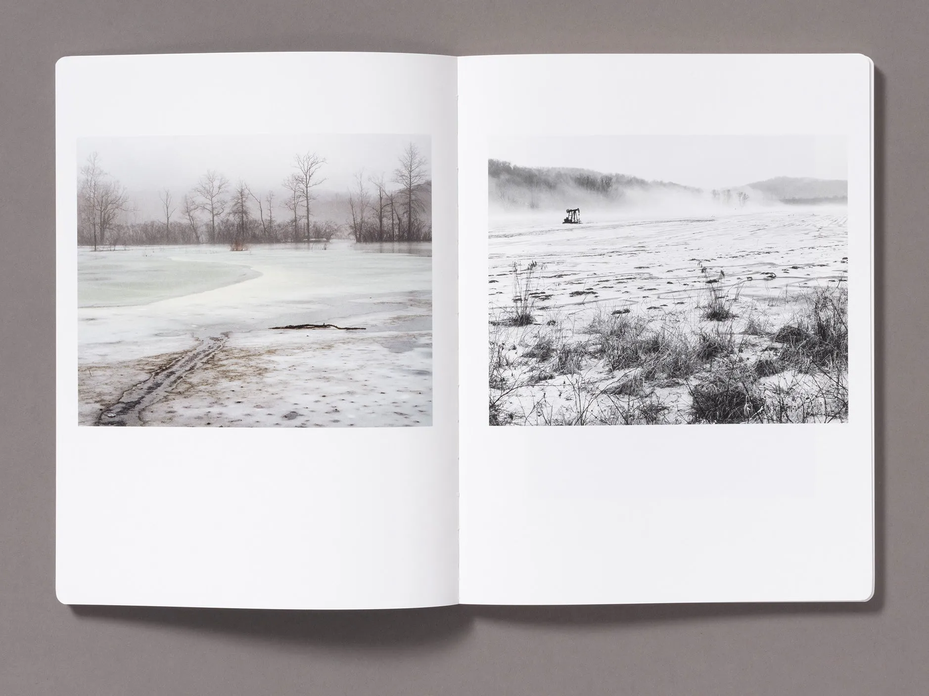 Snow - Vanessa Winship